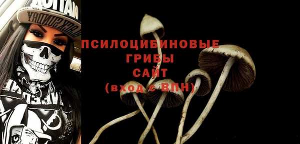 МДПВ Кулебаки